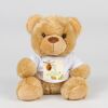 Bear in a t-shirt Thumbnail