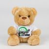Bear in a t-shirt Thumbnail